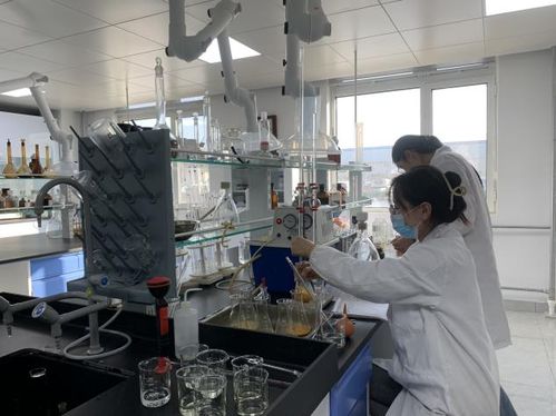 年入5.5億,老板親自嘗狗糧