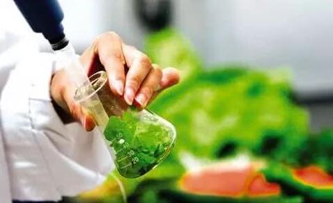 9月8日,大眾網記者從山東省市場監督管理局了解到,為進一步保障食品安全,省市場監管局對餐飲食品、淀粉及淀粉制品、豆制品、糕點、酒類、糧食加工品、肉制品、乳制品、食用農產品、蔬菜制品、水果制品、速凍食品、特殊醫學用途配方食品、調味品和飲料共15大類食品53?