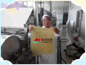 食品加工廠濟南聯(lián)浩全自動大型腐竹油皮機一機多用