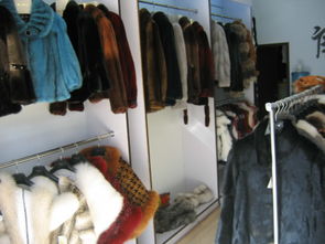 皮草消費指南 理性選擇與穿搭建議