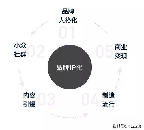 品牌IP的圈層化 互聯(lián)網(wǎng)營銷聯(lián)動(dòng)下的新機(jī)遇