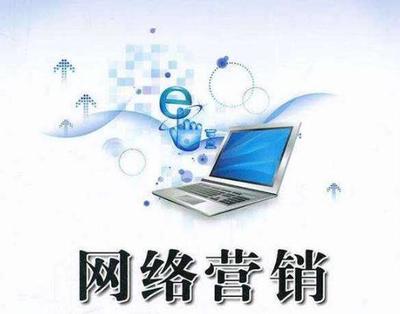 網(wǎng)絡(luò)營銷與互聯(lián)網(wǎng)銷售 數(shù)字時(shí)代的商業(yè)雙引擎